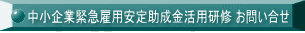 中小企業緊急雇用安定助成金活用研修 お問い合せ