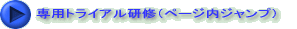 ��p�g���C�A�����C�i�y�[�W���W�����v�j